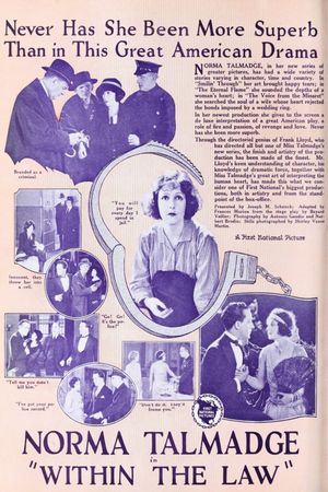 Within the Law's poster