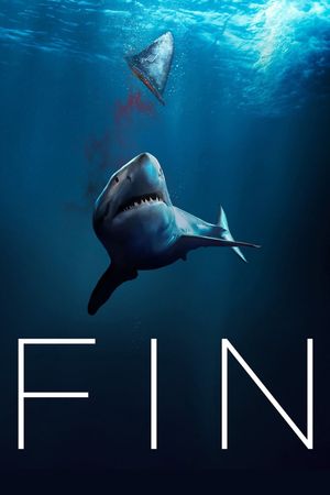 Fin's poster