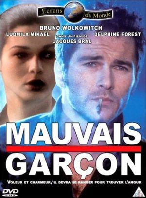 Mauvais garçon's poster