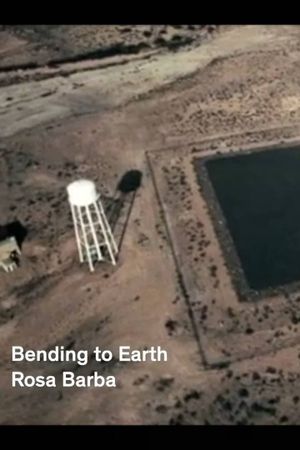 Bending to Earth's poster