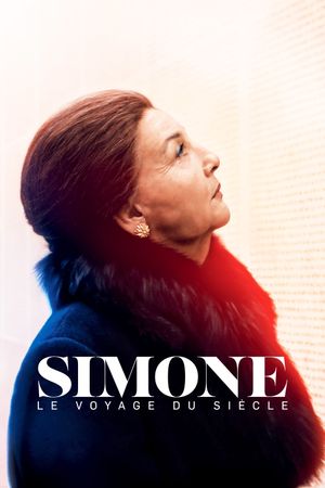 Simone: Woman of the Century's poster