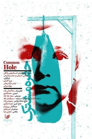 Common Hole's poster