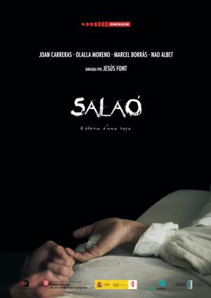 Salaó's poster