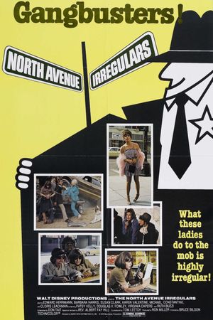 The North Avenue Irregulars's poster