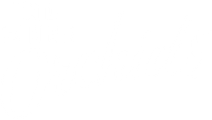 No More Orchids's poster