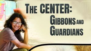 The Center: Gibbons and Guardians's poster