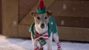 Santa Buddies's poster