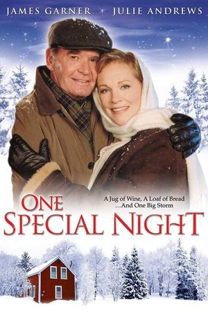 One Special Night's poster