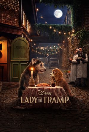 Lady and the Tramp's poster