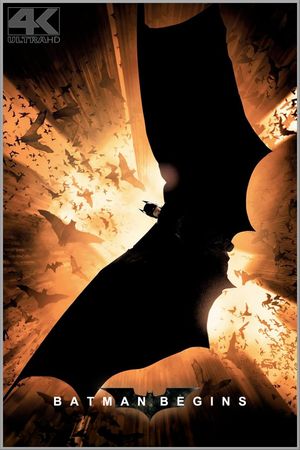 Batman Begins's poster