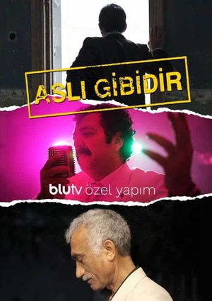 Aslı Gibidir's poster