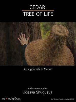 Cedar Tree of Life's poster image