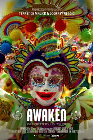 Awaken's poster
