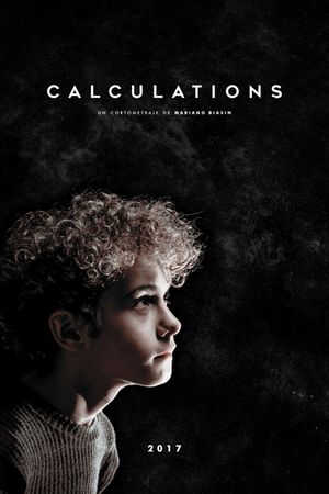 Calculations's poster