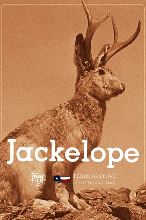 Jackelope's poster