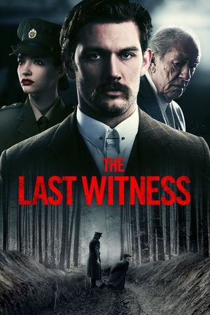 The Last Witness's poster