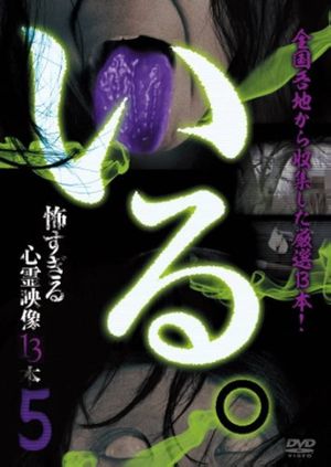 「Iru.」~ Kowasugiru Tōkō Eizō 13-hon ~ Vol.5's poster