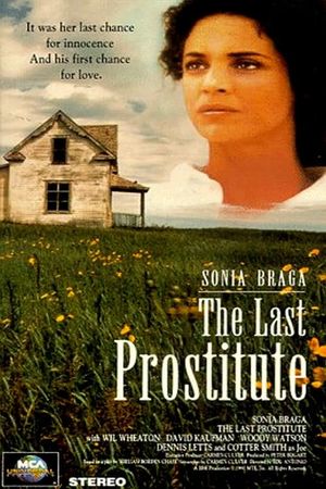 The Last Prostitute's poster