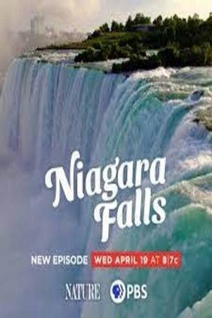 Niagara Falls's poster