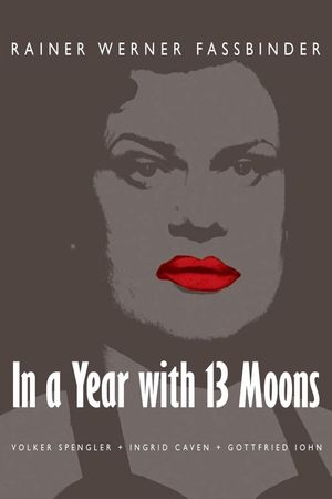 In a Year with 13 Moons's poster