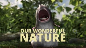 Our Wonderful Nature's poster