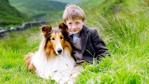 Lassie's poster