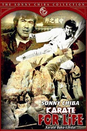 Karate for Life's poster