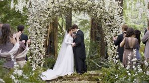 The Twilight Saga: Breaking Dawn - Part 1's poster