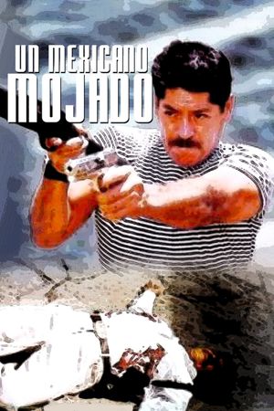 Un mexicano mojado's poster