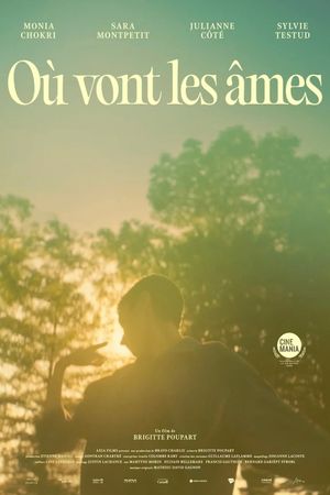 Où vont les âmes?'s poster