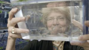 Picture a Scientist's poster