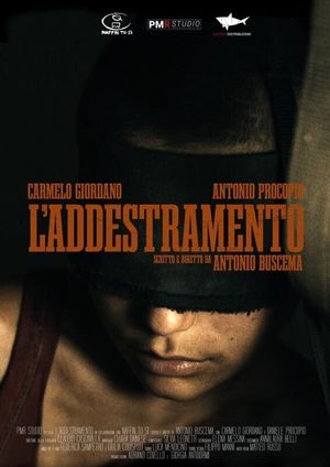 L'addestramento's poster