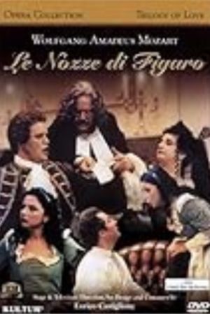 The Weddings of Figaro's poster