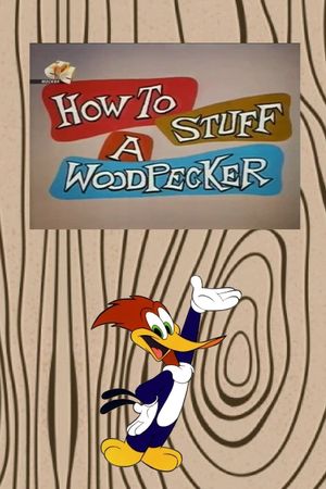 How to Stuff a Woodpecker's poster