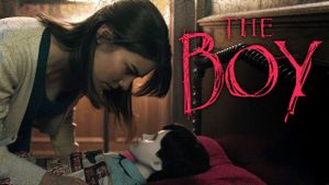 The Boy's poster