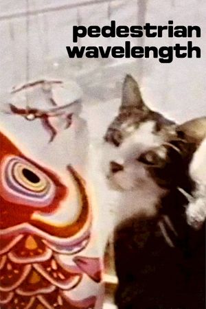 Pedestrian Wavelength's poster