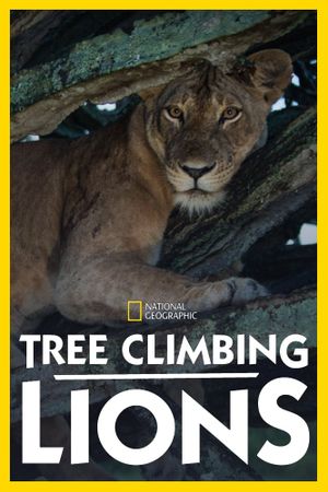 Tree Climbing Lions's poster