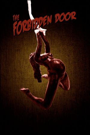 The Forbidden Door's poster