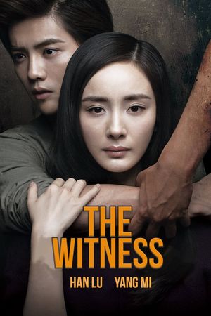 The Witness's poster