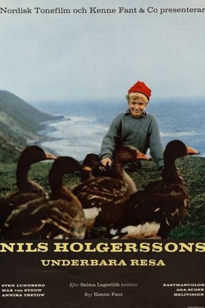 Wonderful Adventures of Nils's poster