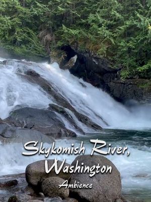 Skykomish River Ambience's poster