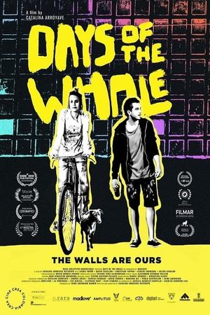 Days of the Whale's poster