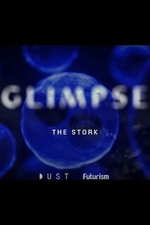 Glimpse Ep 2: The Stork's poster