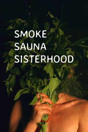 Smoke Sauna Sisterhood's poster
