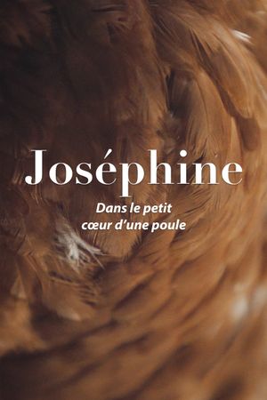 Joséphine, dans le petit cœur d'une poule's poster