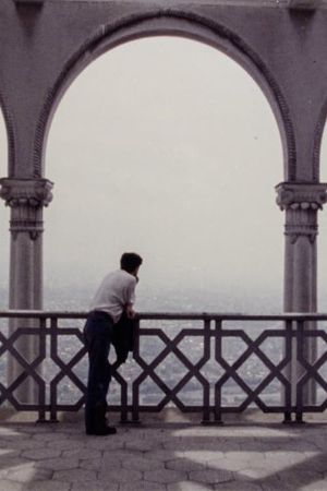 During the Many Years's poster