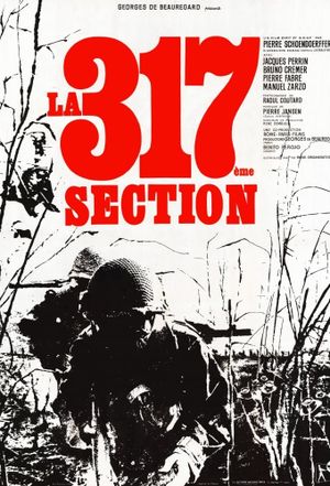 The 317th Platoon's poster