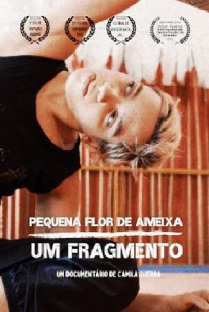 Pequena flor de ameixa: um fragmento's poster