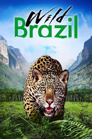 Wild Brazil's poster
