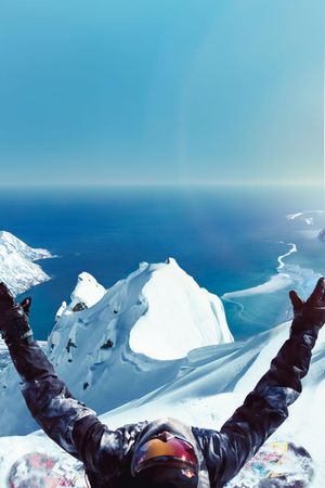 The Fourth Phase's poster